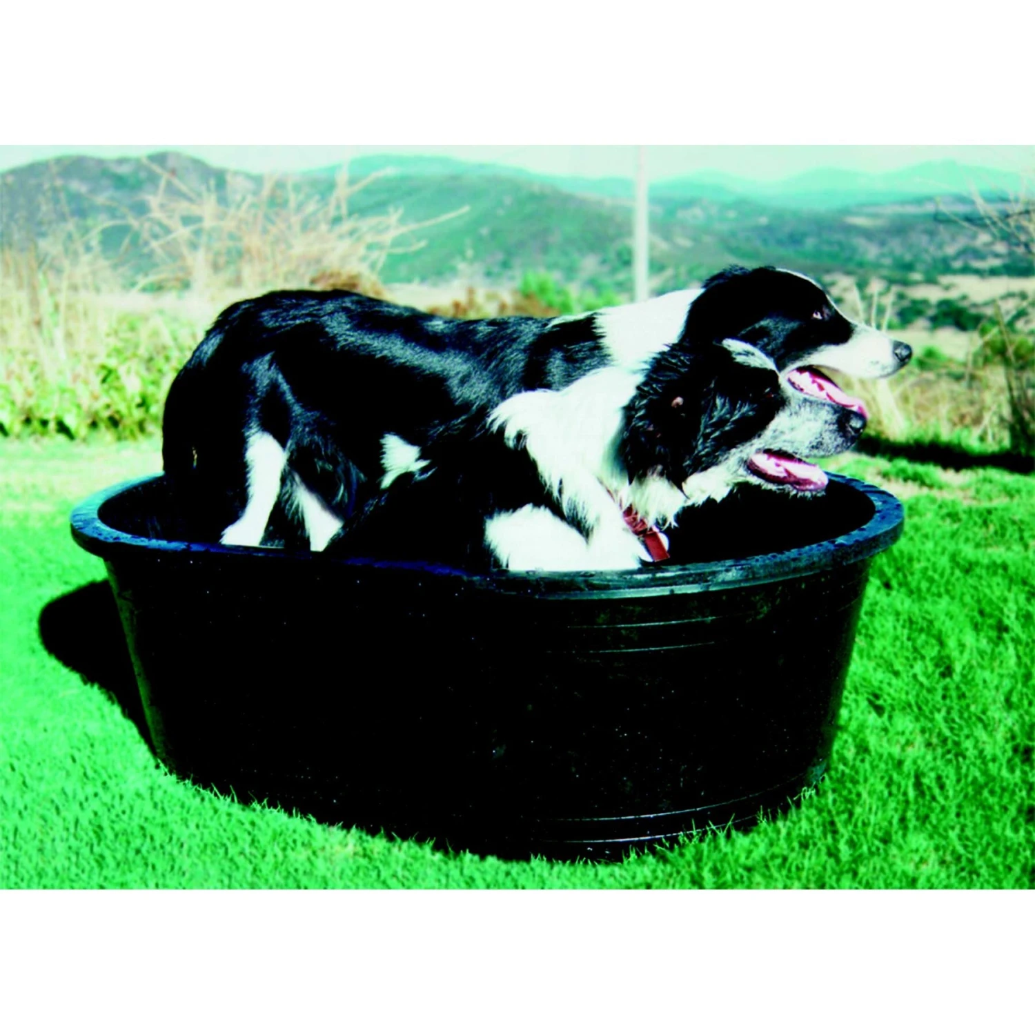 Tuff Stuff Products Super Duty Oval Tank Farm Animal Feeder 2 Tuff Stuff Products Super Duty Oval Tank Farm Animal Feeder - Image 2