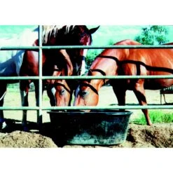 Tuff Stuff Products Super Duty Oval Tank Farm Animal Feeder 8 Tuff Stuff Products Super Duty Oval Tank Farm Animal Feeder -Meadow Farm 776334 PT2. AC SS1800 V1689275503