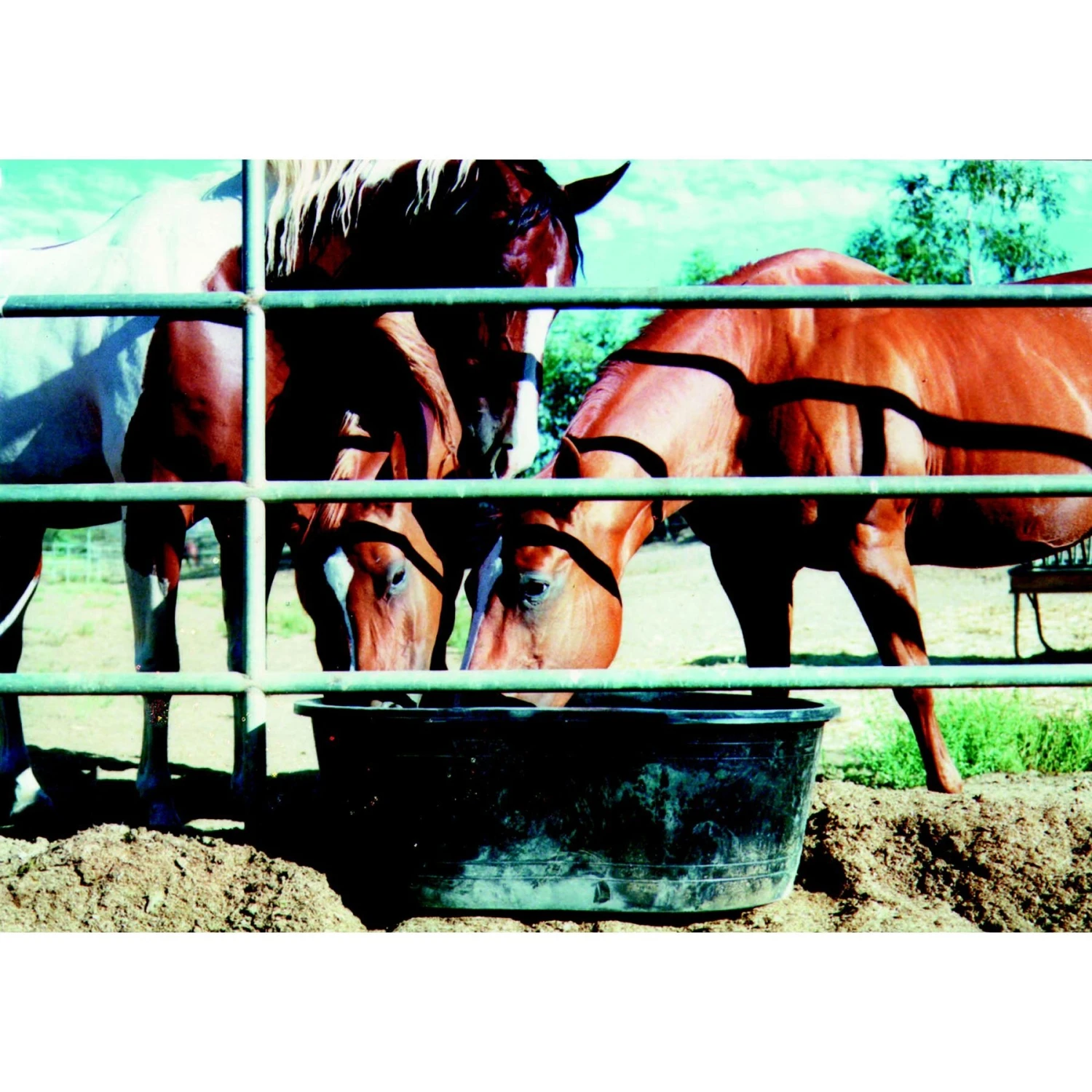 Tuff Stuff Products Super Duty Oval Tank Farm Animal Feeder 3 Tuff Stuff Products Super Duty Oval Tank Farm Animal Feeder - Image 3