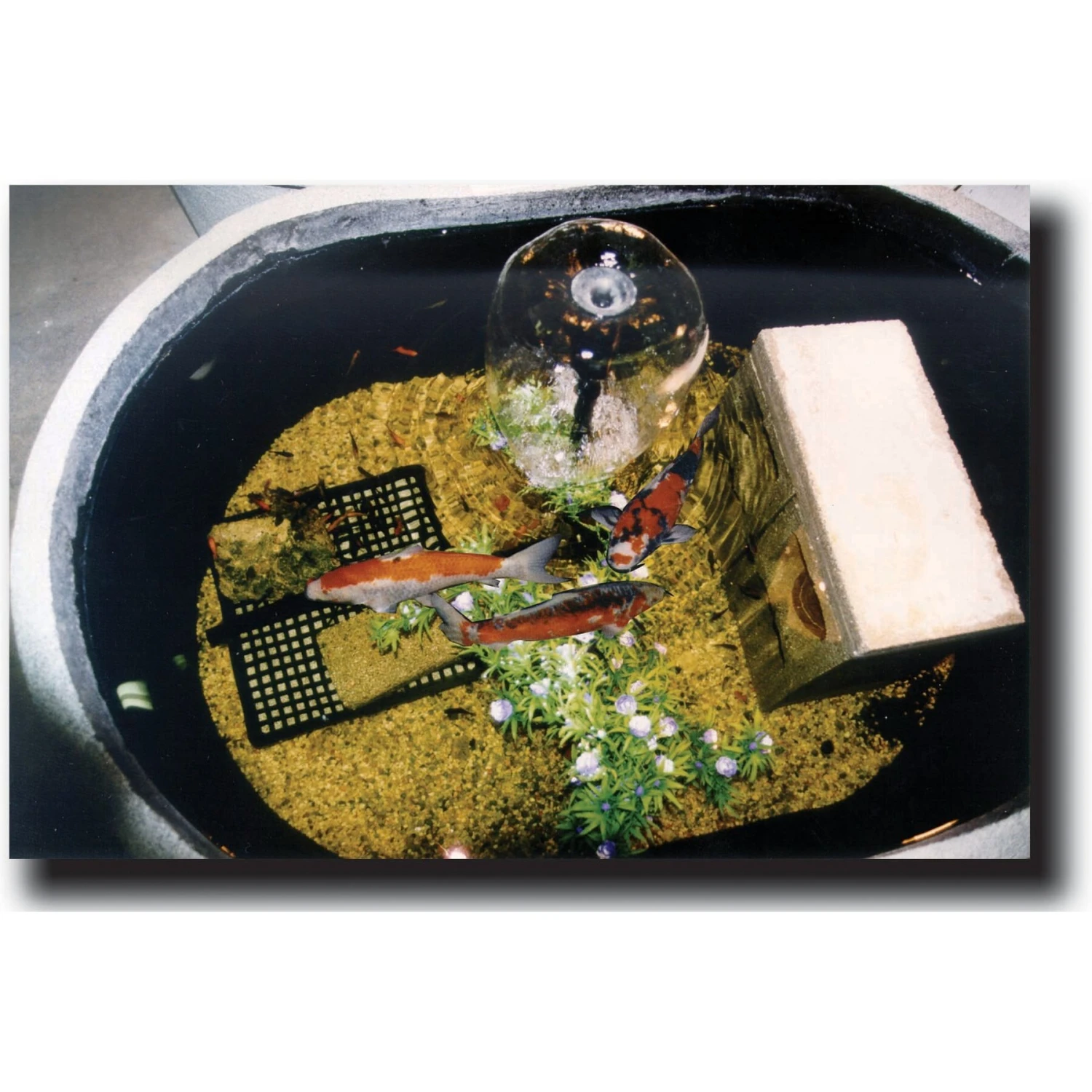 Tuff Stuff Products Super Duty Oval Tank Farm Animal Feeder 6 Tuff Stuff Products Super Duty Oval Tank Farm Animal Feeder - Image 6