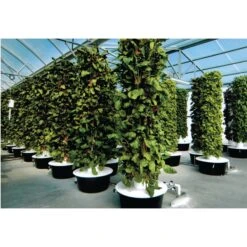 Tuff Stuff Products Super Duty Round Tub Farm Animal Feeder 7 Tuff Stuff Products Super Duty Round Tub Farm Animal Feeder -Meadow Farm 776382 PT3. AC SS1800 V1689275896