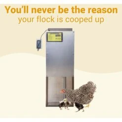 OverEZ Automatic Chicken Coop Door Farm House Accessory -Meadow Farm 778078 PT2. AC SS1800 V1676923524