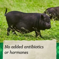 Nutrena Country Feeds 16% Pellet Mini Pig Feed, 25-lb Bag 13 Nutrena Country Feeds 16% Pellet Mini Pig Feed, 25-lb Bag -Meadow Farm 782918 PT5. AC SS1800 V1677170893