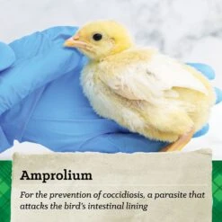 Nutrena NatureWise Chick Starter Grower Medicated 18% Protein Crumbles Poultry Feed -Meadow Farm 782950 PT4. AC SS1800 V1677077855