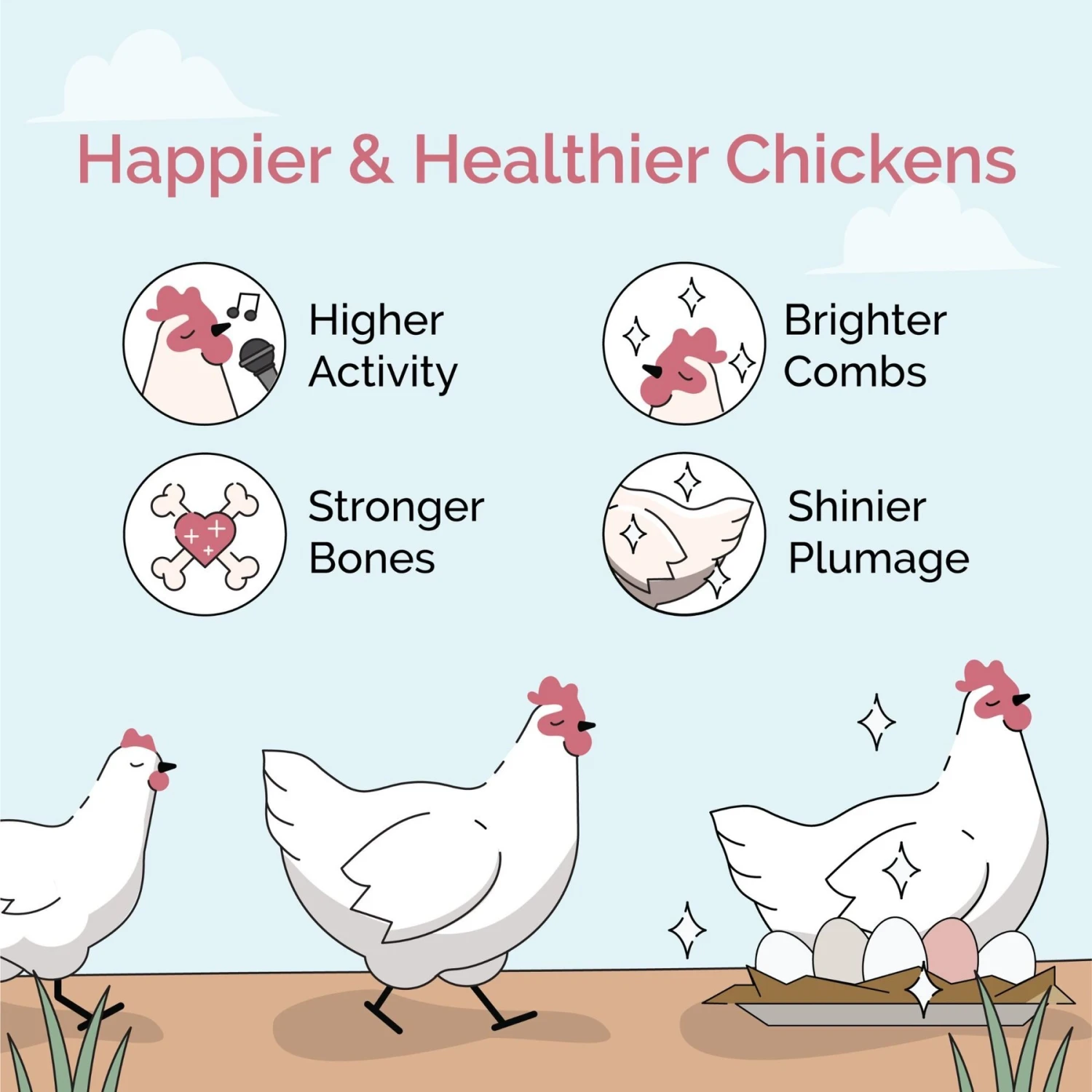 Mile Four Starter Chick Grit Digestive Supplement For Chickens 4 Mile Four Starter Chick Grit Digestive Supplement For Chickens - Image 4