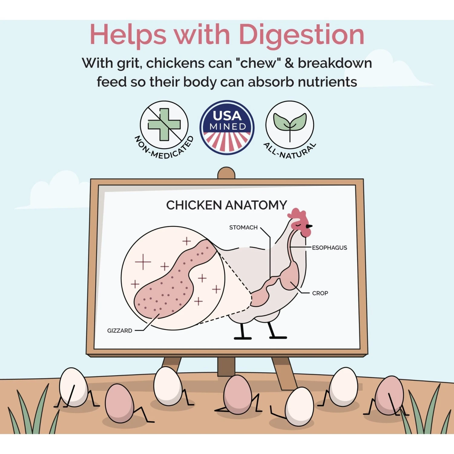 Mile Four Starter Chick Grit Digestive Supplement For Chickens 5 Mile Four Starter Chick Grit Digestive Supplement For Chickens - Image 5