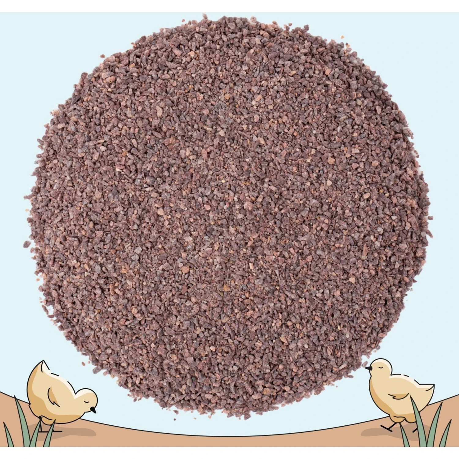 Mile Four Starter Chick Grit Digestive Supplement For Chickens 8 Mile Four Starter Chick Grit Digestive Supplement For Chickens - Image 8