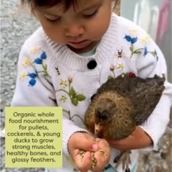 Scratch And Peck Feeds Organic 17% Protein Grower Mash Chicken Feed -Meadow Farm 804478 PT5. AC SS1800 V1682614723