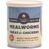 Culinary Coop Mealworms Chicken Treats, 2.75-oz Can