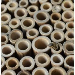 Natures Way Bird Products Bee Barn, Brown 10 Natures Way Bird Products Bee Barn, Brown -Meadow Farm 817942 PT1. AC SS1800 V1681509692