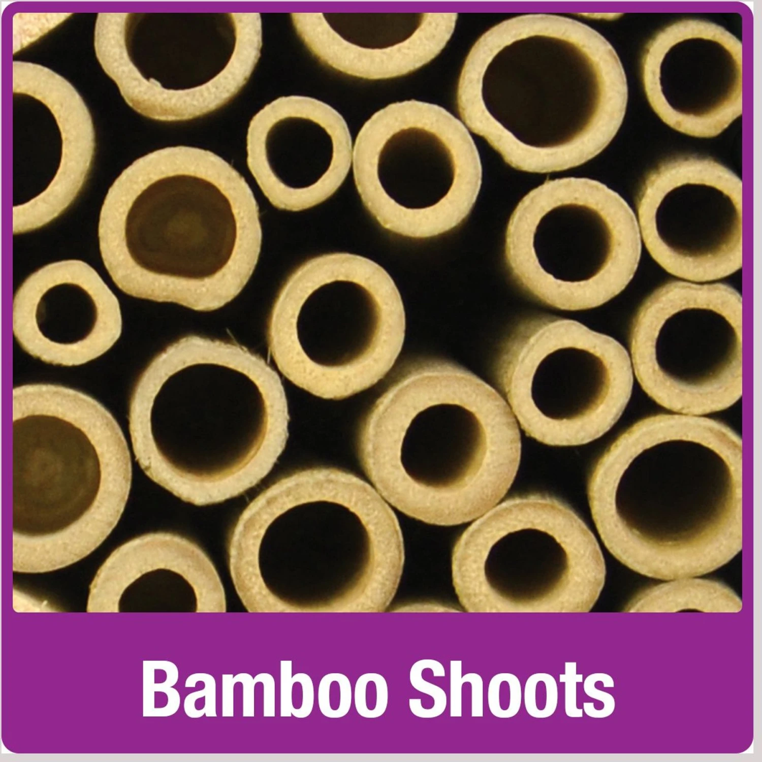 Natures Way Bird Products Bee Barn, Brown 5 Natures Way Bird Products Bee Barn, Brown - Image 5