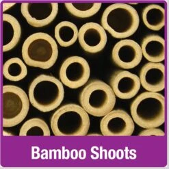 Natures Way Bird Products Pollinator Tower, Brown -Meadow Farm 817958 PT2. AC SS1800 V1681743328