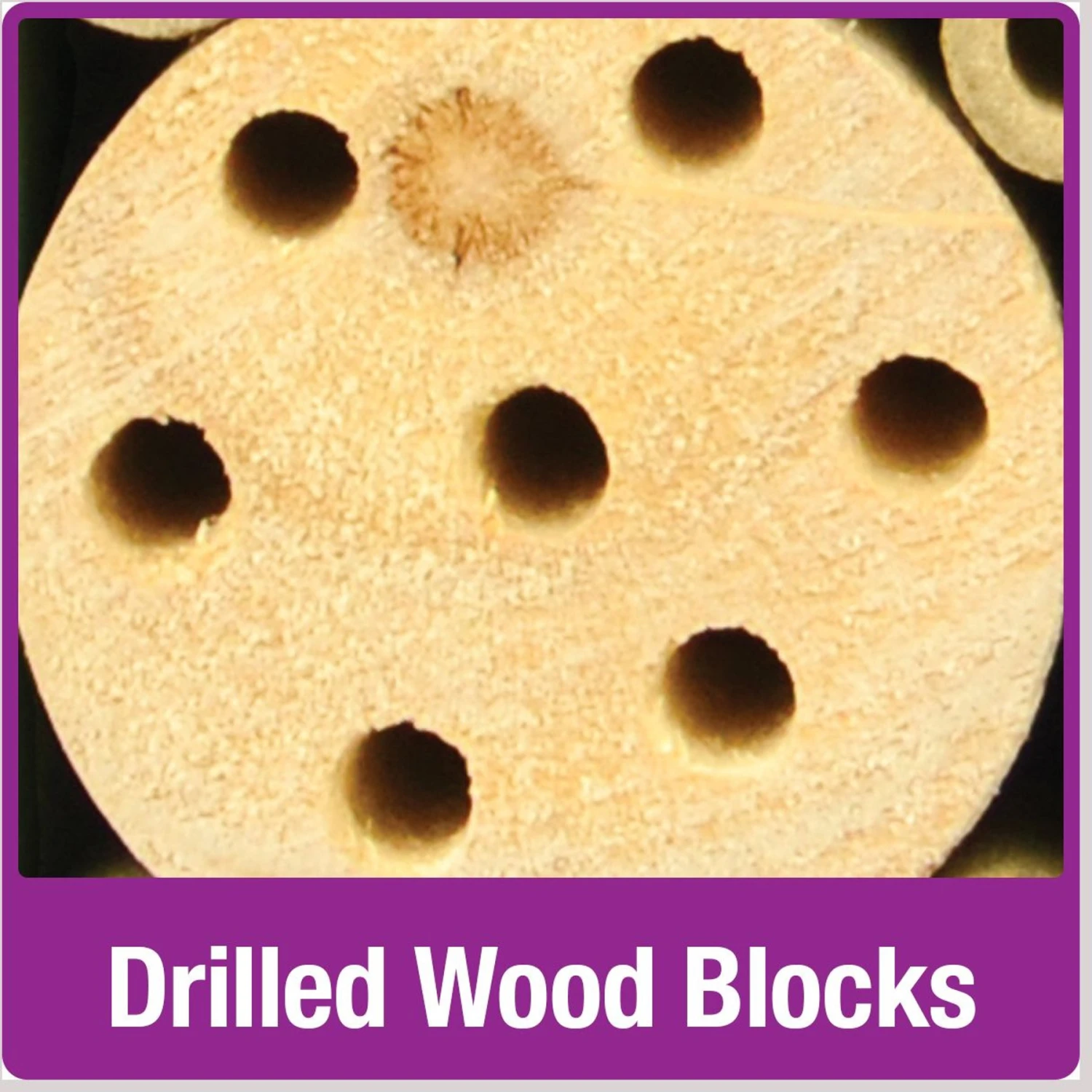 Natures Way Bird Products Insect Chateau, Brown 4 Natures Way Bird Products Insect Chateau, Brown - Image 4