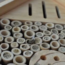 Natures Way Bird Products Insect Chateau, Brown 14 Natures Way Bird Products Insect Chateau, Brown -Meadow Farm 817974 PT5. AC SS1800 V1681739709