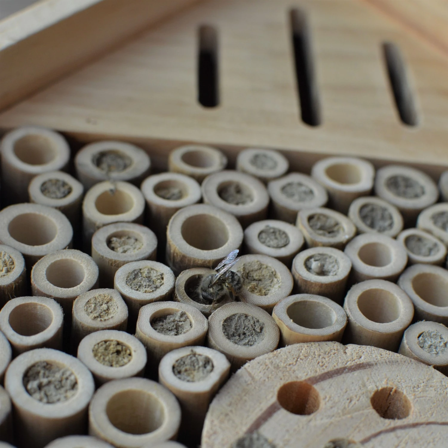 Natures Way Bird Products Insect Chateau, Brown 6 Natures Way Bird Products Insect Chateau, Brown - Image 6