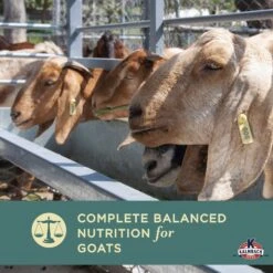 Kalmbach Feeds 16% Organic Pellet Goat Feed, 50-lb Bag -Meadow Farm 825278 PT3. AC SS1800 V1681156458