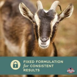 Kalmbach Feeds 16% Organic Pellet Goat Feed, 50-lb Bag -Meadow Farm 825278 PT4. AC SS1800 V1681229361