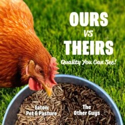 Eaton Pet & Pasture Premium Grubs USA Grown Black Soldier Fly Larvae Bird Treats, 1.5-lb Bag 12 Eaton Pet & Pasture Premium Grubs USA Grown Black Soldier Fly Larvae Bird Treats, 1.5-lb Bag -Meadow Farm 838910 PT5. AC SS1800 V1684335251