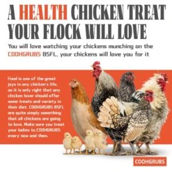 COOHGRUBS Dried Black Soldier Fly Larvae Bird Treat 9 COOHGRUBS Dried Black Soldier Fly Larvae Bird Treat -Meadow Farm 847798 PT3. AC SS1800 V1685059522