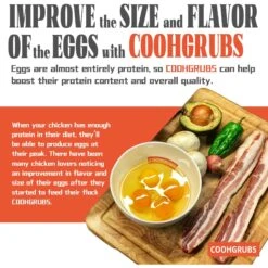 COOHGRUBS Dried Black Soldier Fly Larvae Bird Treat 10 COOHGRUBS Dried Black Soldier Fly Larvae Bird Treat -Meadow Farm 847798 PT4. AC SS1800 V1685059521