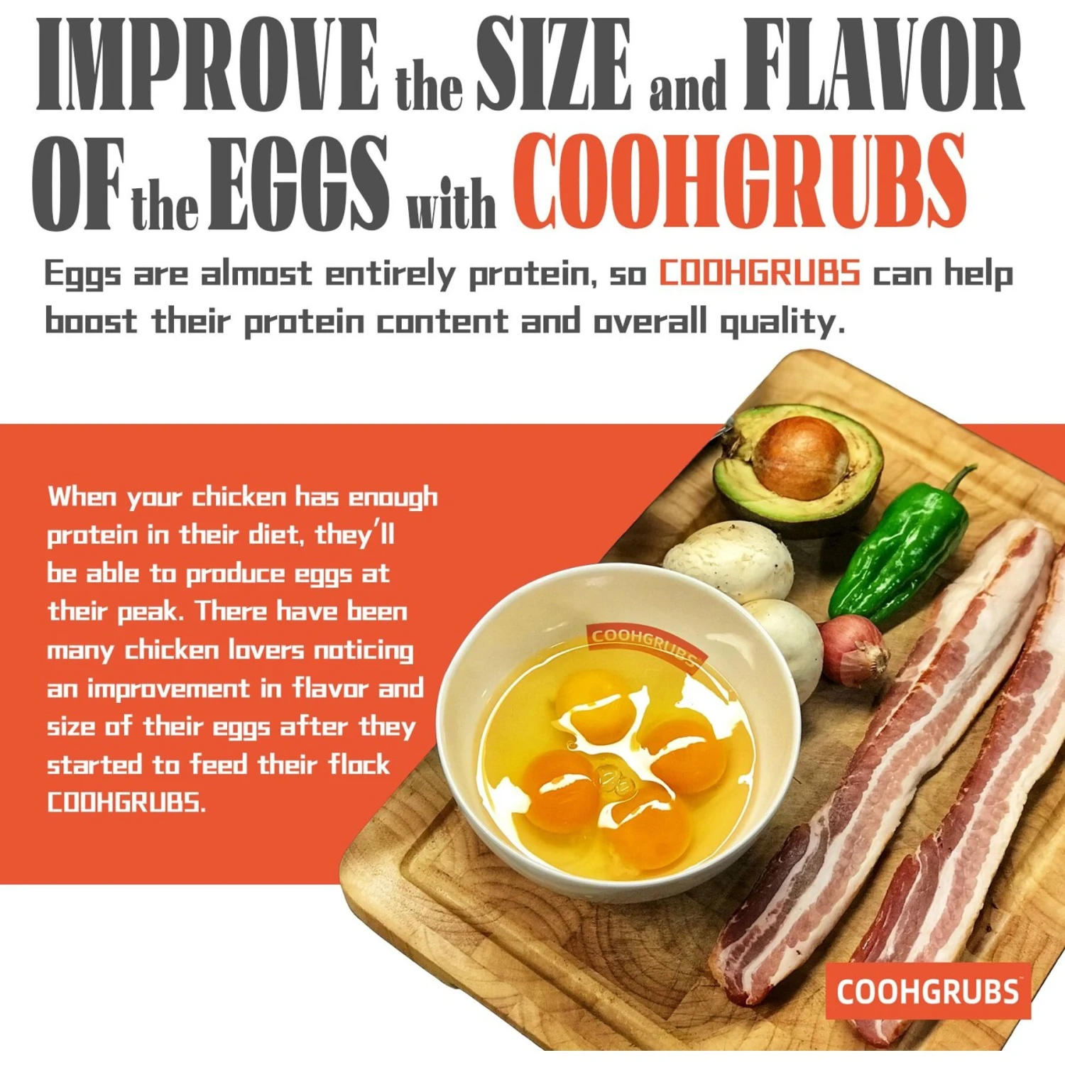 COOHGRUBS Dried Black Soldier Fly Larvae Bird Treat 5 COOHGRUBS Dried Black Soldier Fly Larvae Bird Treat - Image 5