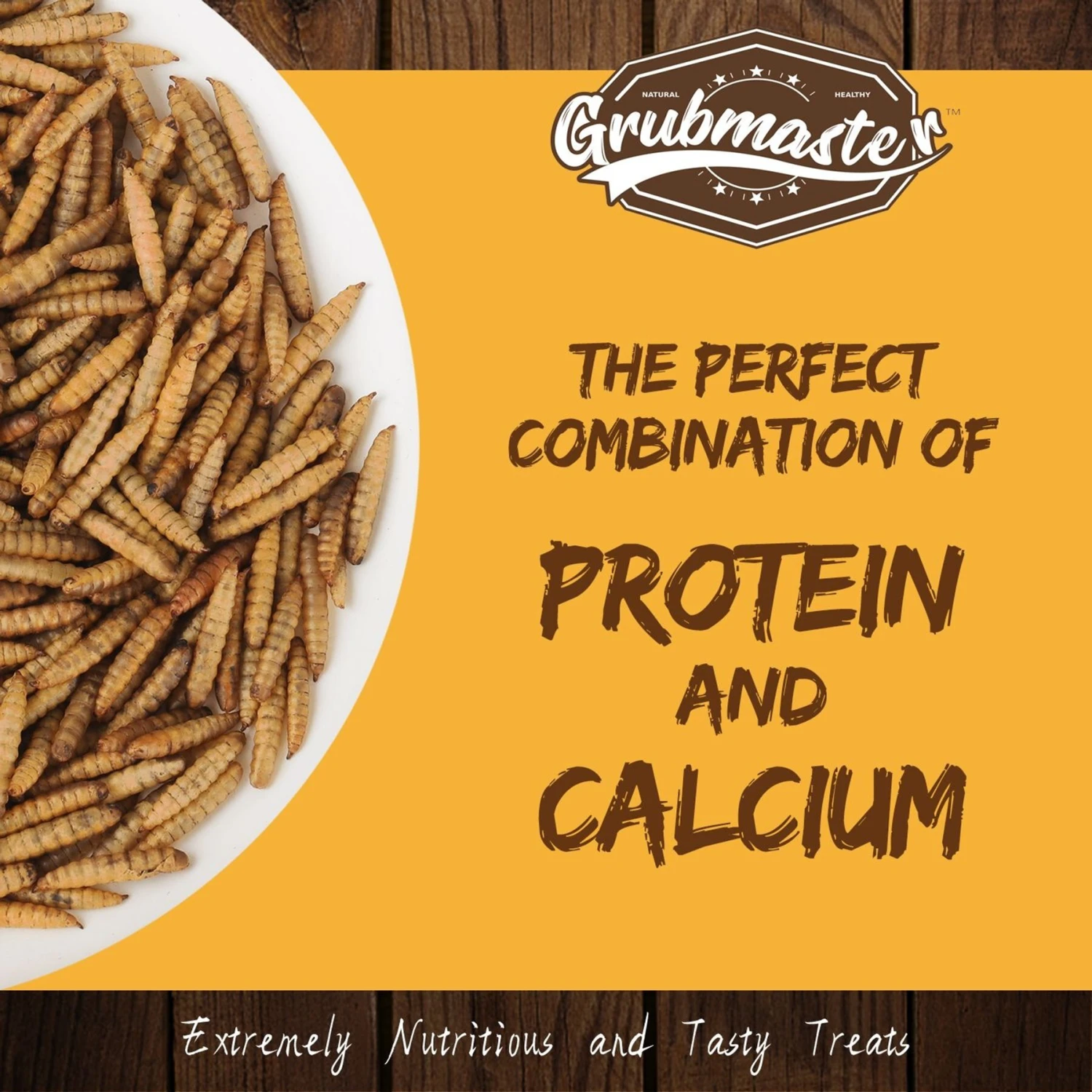 GRUBMASTER Dried Black Soldier Fly Larvae Bird Treat 2 GRUBMASTER Dried Black Soldier Fly Larvae Bird Treat - Image 2