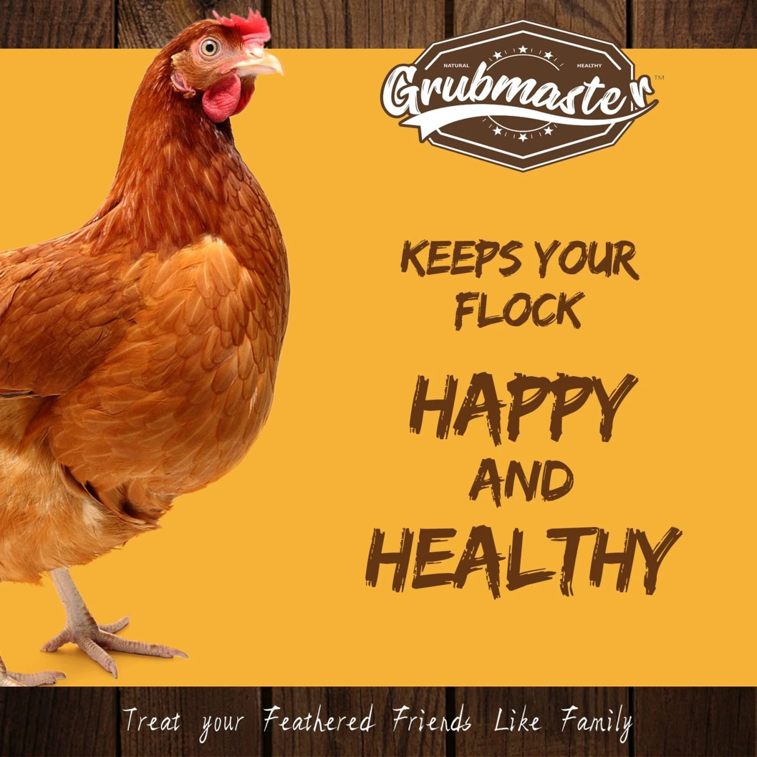 GRUBMASTER Dried Black Soldier Fly Larvae Bird Treat 3 GRUBMASTER Dried Black Soldier Fly Larvae Bird Treat - Image 3