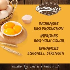 GRUBMASTER Dried Black Soldier Fly Larvae Bird Treat 9 GRUBMASTER Dried Black Soldier Fly Larvae Bird Treat -Meadow Farm 847838 PT3. AC SS1800 V1690486736