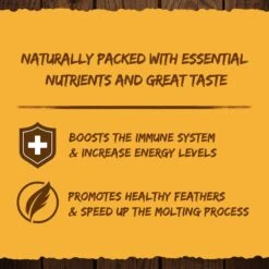 GRUBMASTER Dried Black Soldier Fly Larvae Bird Treat 10 GRUBMASTER Dried Black Soldier Fly Larvae Bird Treat -Meadow Farm 847838 PT4. AC SS1800 V1690486862