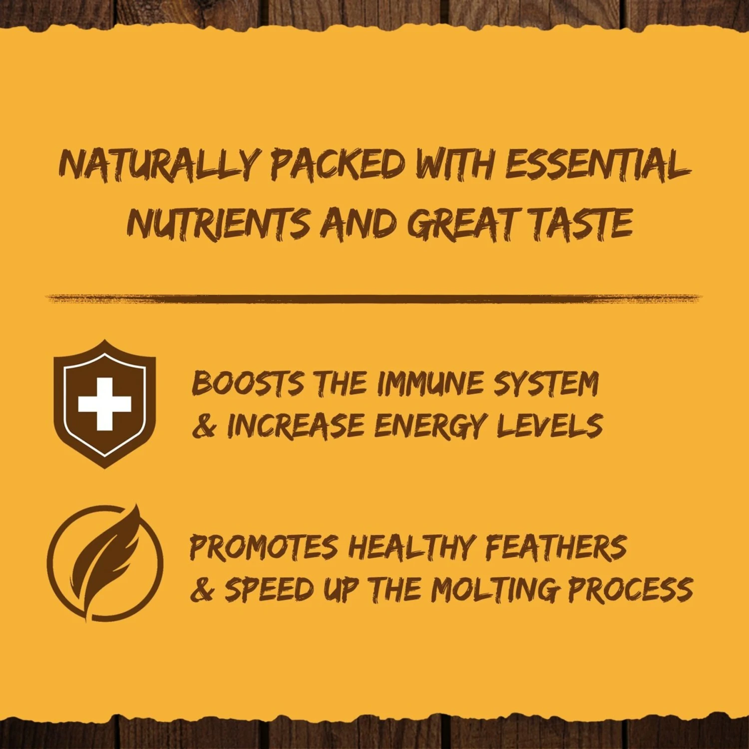 GRUBMASTER Dried Black Soldier Fly Larvae Bird Treat 5 GRUBMASTER Dried Black Soldier Fly Larvae Bird Treat - Image 5