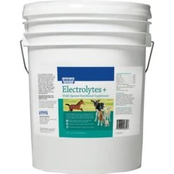 Sav-A-Caf Electrolytes Plus Multi Species Supplement