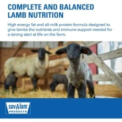 Sav-A-Caf Lamb Milk Replacer Cattle Supplement -Meadow Farm 851630 PT5. AC SS1800 V1684526065