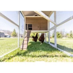 Zylina Superior Hen House -Meadow Farm 854886 PT3. AC SS1800 V1686249498