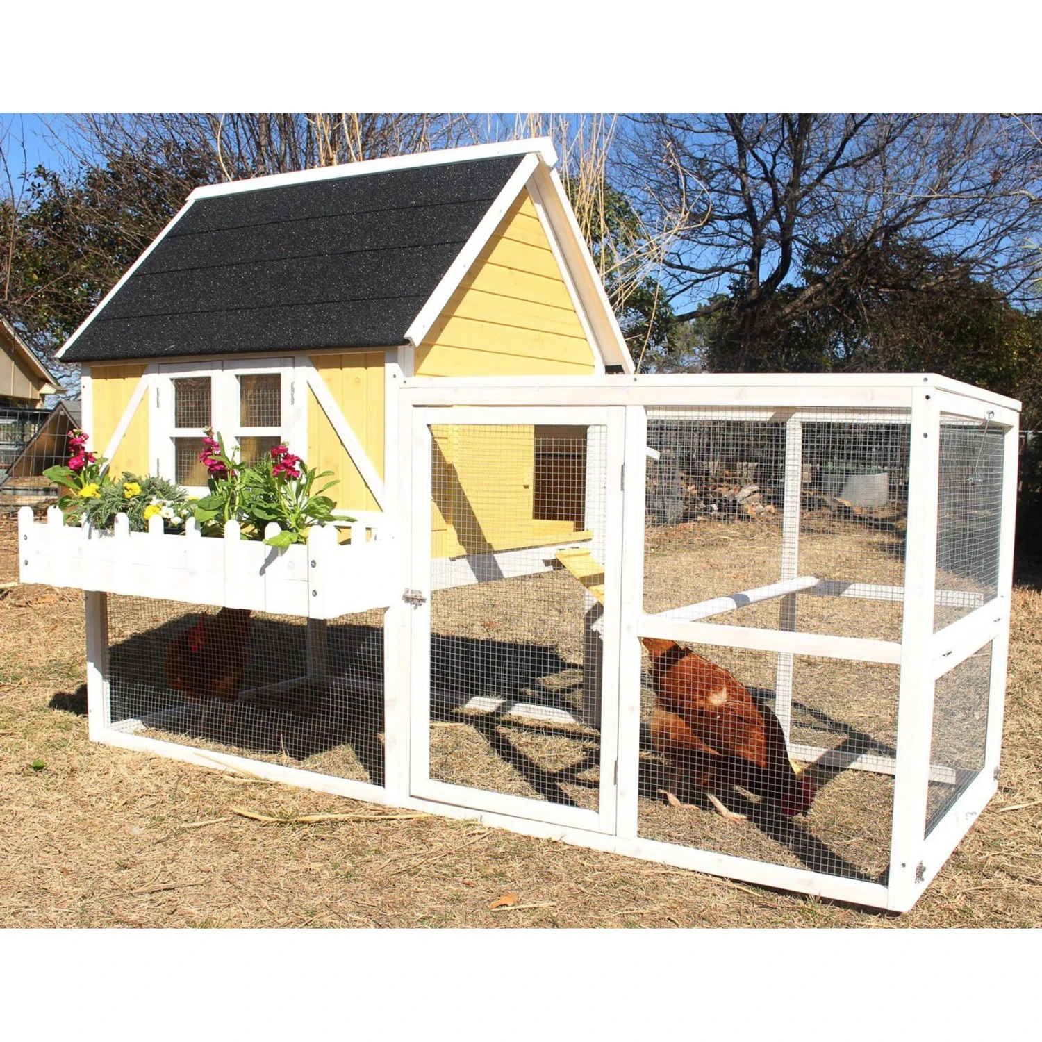 Zylina Yellow Cottage Chicken Coop 2 Zylina Yellow Cottage Chicken Coop - Image 2