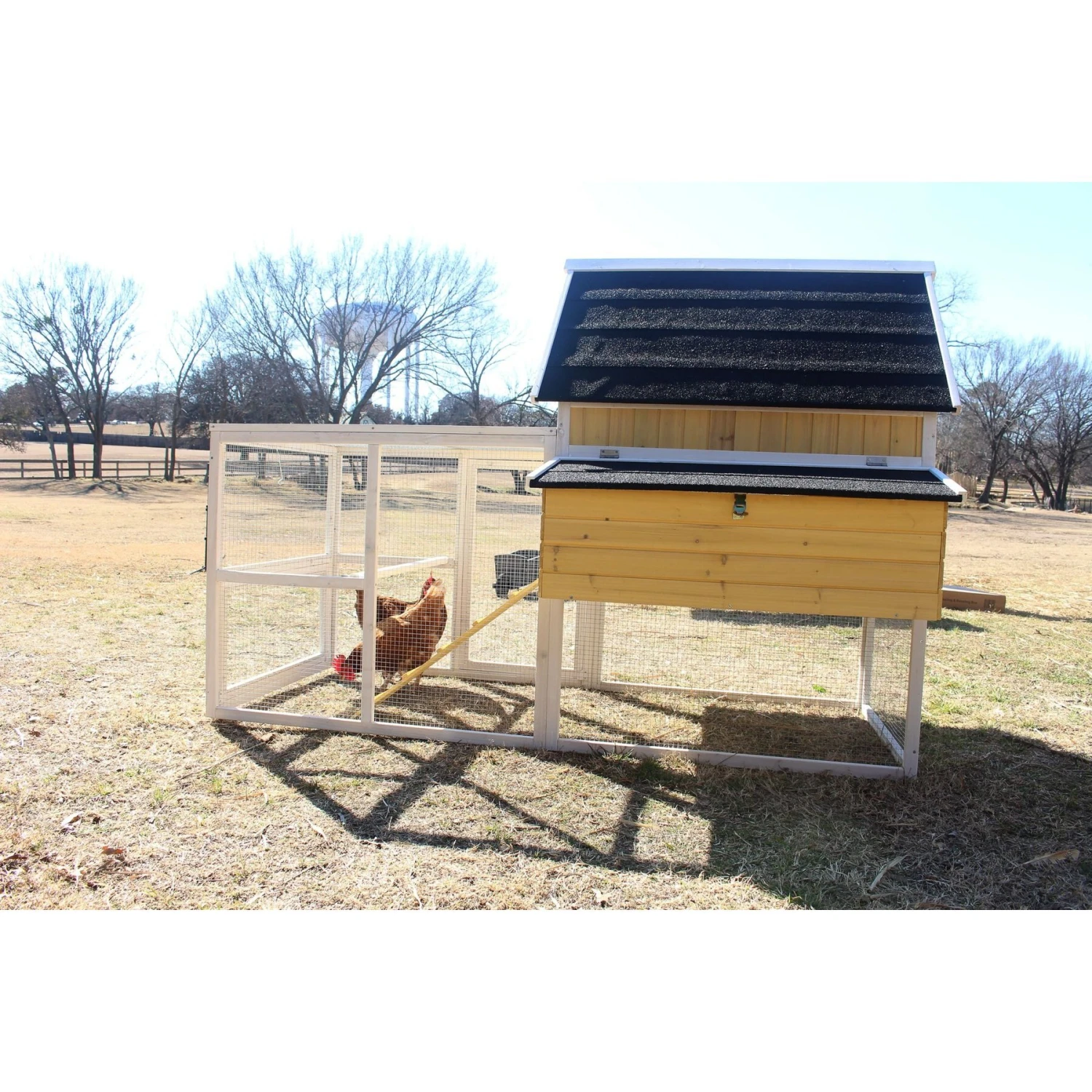Zylina Yellow Cottage Chicken Coop 3 Zylina Yellow Cottage Chicken Coop - Image 3