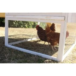 Zylina Yellow Cottage Chicken Coop 16 Zylina Yellow Cottage Chicken Coop -Meadow Farm 854918 PT7. AC SS1800 V1686247341