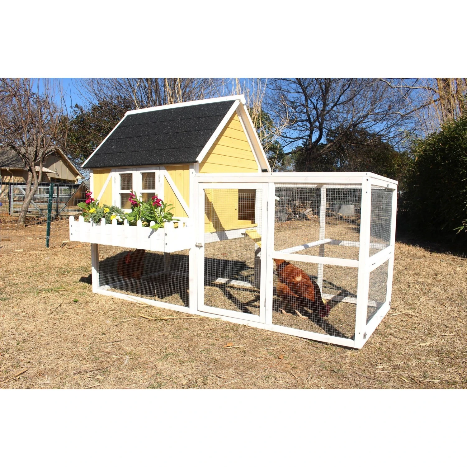 Zylina Yellow Cottage Chicken Coop 9 Zylina Yellow Cottage Chicken Coop - Image 9