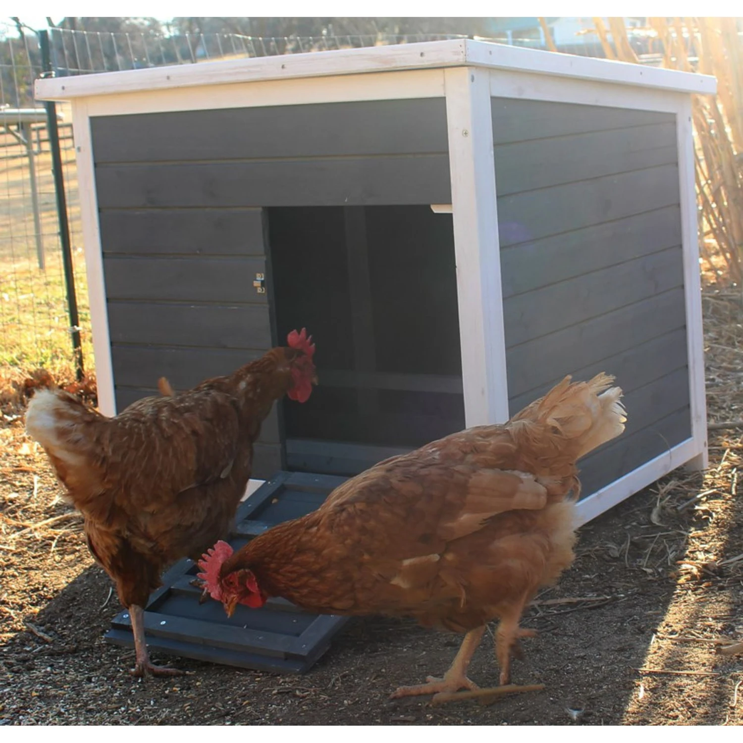 Zylina Nesting & Roosting Box 3 Zylina Nesting & Roosting Box - Image 3