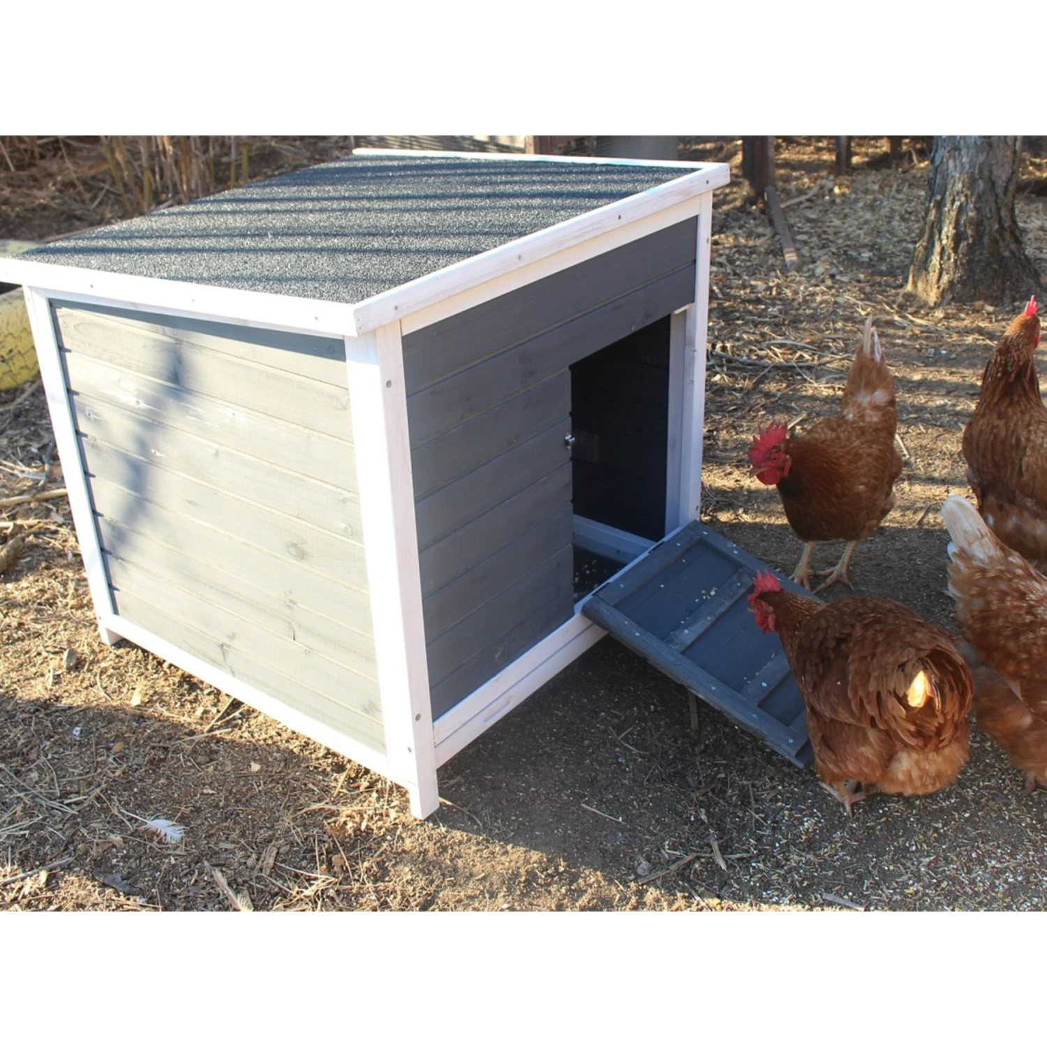 Zylina Nesting & Roosting Box 4 Zylina Nesting & Roosting Box - Image 4