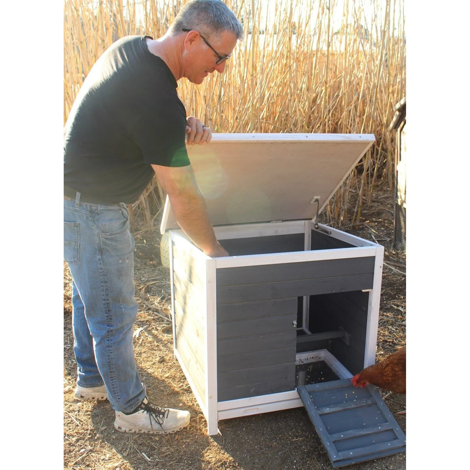 Zylina Nesting & Roosting Box 7 Zylina Nesting & Roosting Box - Image 7