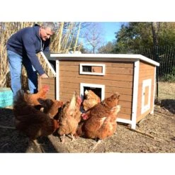 Zylina Nesting & Roosting Box With Outer Egg Box 13 Zylina Nesting & Roosting Box With Outer Egg Box -Meadow Farm 854950 PT4. AC SS1800 V1686247880