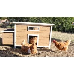 Zylina Nesting & Roosting Box With Outer Egg Box 14 Zylina Nesting & Roosting Box With Outer Egg Box -Meadow Farm 854950 PT5. AC SS1800 V1686248895