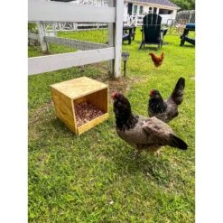 Zylina Best Rest Single Nesting Box 13 Zylina Best Rest Single Nesting Box -Meadow Farm 854998 PT4. AC SS1800 V1686245904