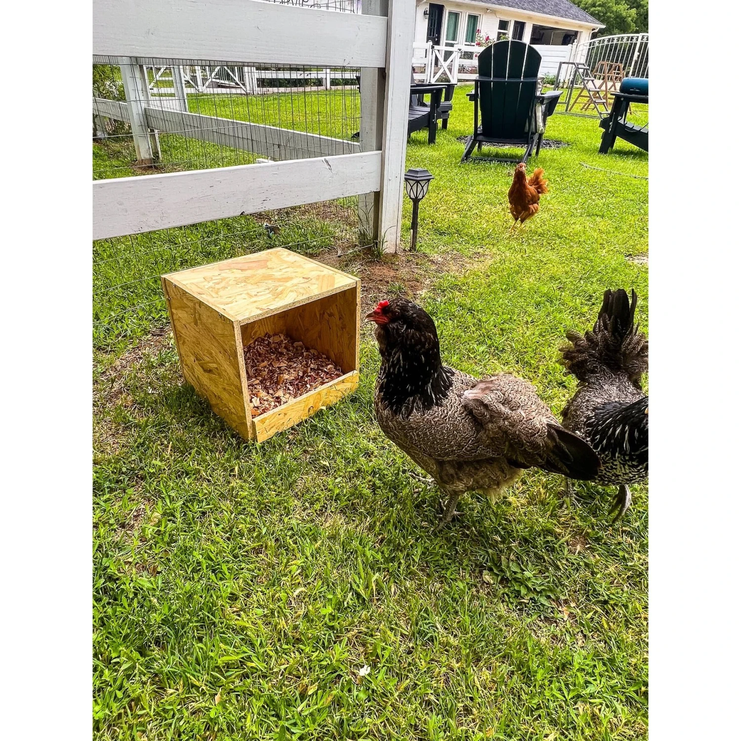 Zylina Best Rest Single Nesting Box 7 Zylina Best Rest Single Nesting Box - Image 7