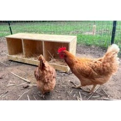 Zylina Best Rest Triple Nesting Box -Meadow Farm 855014 PT6. AC SS1800 V1686249893
