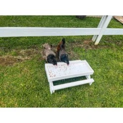 Zylina Snack-n-Feed Picnic Table 11 Zylina Snack-n-Feed Picnic Table -Meadow Farm 855030 PT2. AC SS1800 V1686250306