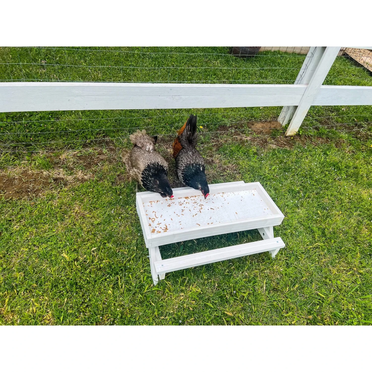 Zylina Snack-n-Feed Picnic Table 3 Zylina Snack-n-Feed Picnic Table - Image 3
