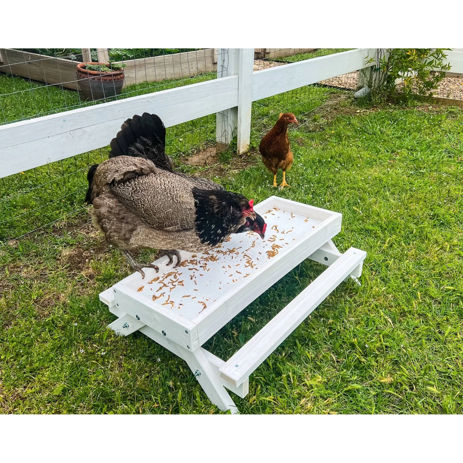Zylina Snack-n-Feed Picnic Table 4 Zylina Snack-n-Feed Picnic Table - Image 4