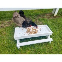 Zylina Snack-n-Feed Picnic Table 13 Zylina Snack-n-Feed Picnic Table -Meadow Farm 855030 PT4. AC SS1800 V1686247343