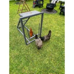 Zylina Play-N-Roost Roosting Ladder & Swing Bird Toy -Meadow Farm 855046 PT3. AC SS1800 V1686246226